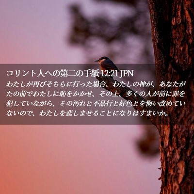 Picture 02 - コリント人への第二の手紙 12:21 JPN - わたしが再びそちらに行った場合、 - Bible Verse Picture