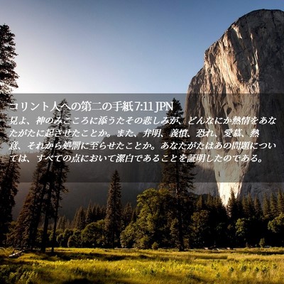 Picture 02 - コリント人への第二の手紙 7:11 JPN - 見よ、神のみこころに添うたその悲 - Bible Verse Picture
