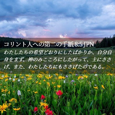 Picture 02 - コリント人への第二の手紙 8:5 JPN - わたしたちの希望どおりにしたばか - Bible Verse Picture