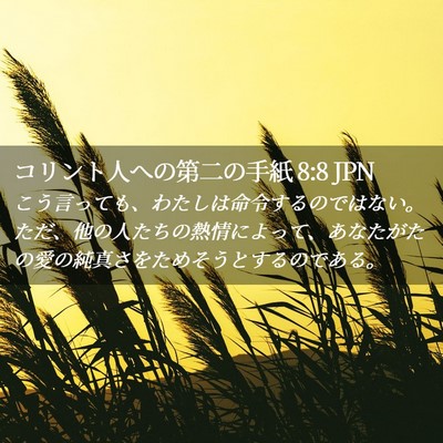 Picture 02 - コリント人への第二の手紙 8:8 JPN - こう言っても、わたしは命令するの - Bible Verse Picture
