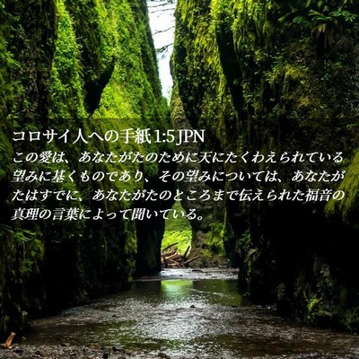 Picture 02 - コロサイ人への手紙 1:5 JPN - この愛は、あなたがたのために天に - Bible Verse Picture