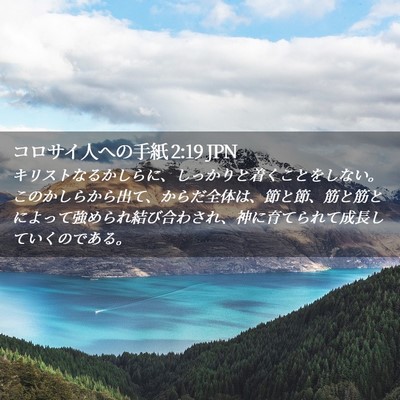 Picture 02 - コロサイ人への手紙 2:19 JPN - キリストなるかしらに、しっかりと - Bible Verse Picture