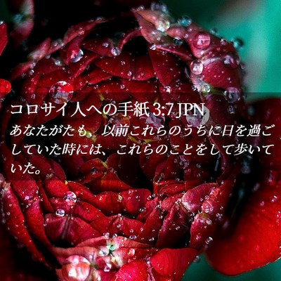 Picture 02 - コロサイ人への手紙 3:7 JPN - あなたがたも、以前これらのうちに - Bible Verse Picture
