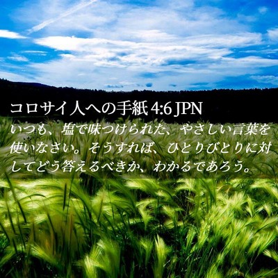 Picture 02 - コロサイ人への手紙 4:6 JPN - いつも、塩で味つけられた、やさし - Bible Verse Picture