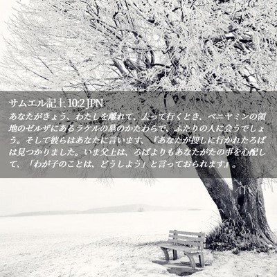 Picture 02 - サムエル記上 10:2 JPN - あなたがきょう、わたしを離れて、 - Bible Verse Picture