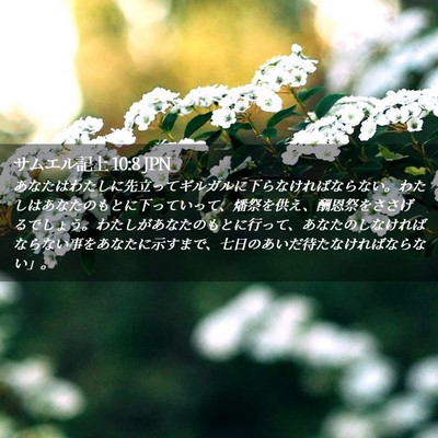 Picture 02 - サムエル記上 10:8 JPN - あなたはわたしに先立ってギルガル - Bible Verse Picture