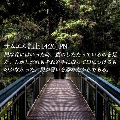 Picture 02 - サムエル記上 14:26 JPN - 民は森にはいった時、蜜のしたたっ - Bible Verse Picture