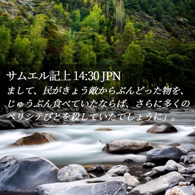 Picture 02 - サムエル記上 14:30 JPN - まして、民がきょう敵からぶんどっ - Bible Verse Picture