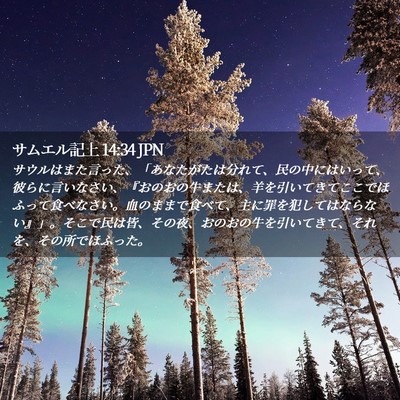 Picture 02 - サムエル記上 14:34 JPN - サウルはまた言った、「あなたがた - Bible Verse Picture