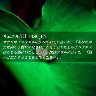 Picture 02 - サムエル記上 14:40 JPN - サウルはイスラエルのすべての人に - Bible Verse Picture