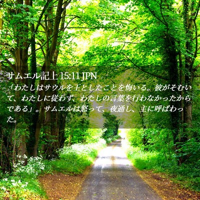 Picture 02 - サムエル記上 15:11 JPN - 「わたしはサウルを王としたことを - Bible Verse Picture
