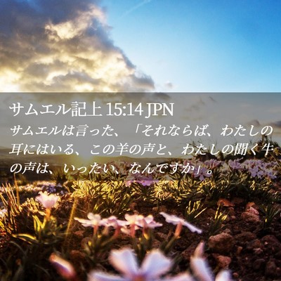 Picture 02 - サムエル記上 15:14 JPN - サムエルは言った、「それならば、 - Bible Verse Picture