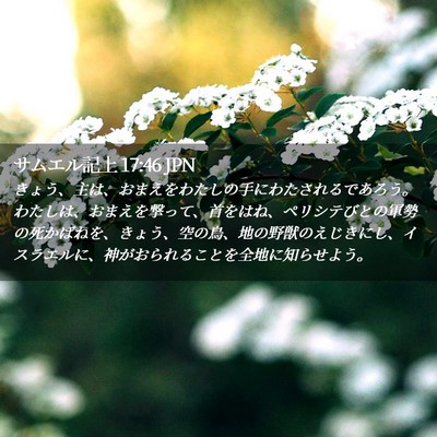 Picture 02 - サムエル記上 17:46 JPN - きょう、主は、おまえをわたしの手 - Bible Verse Picture