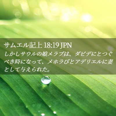Picture 02 - サムエル記上 18:19 JPN - しかしサウルの娘メラブは、ダビデ - Bible Verse Picture