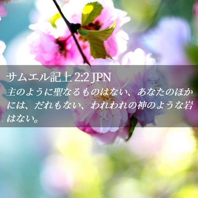 Picture 02 - サムエル記上 2:2 JPN - 主のように聖なるものはない、あな - Bible Verse Picture