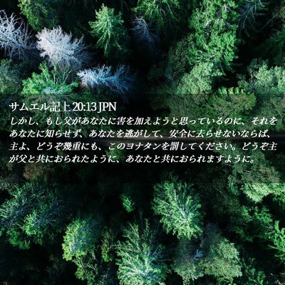 Picture 02 - サムエル記上 20:13 JPN - しかし、もし父があなたに害を加え - Bible Verse Picture