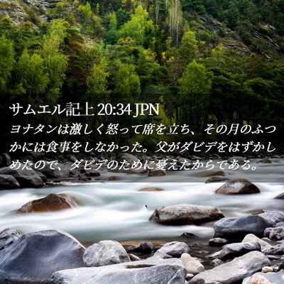 Picture 02 - サムエル記上 20:34 JPN - ヨナタンは激しく怒って席を立ち、 - Bible Verse Picture