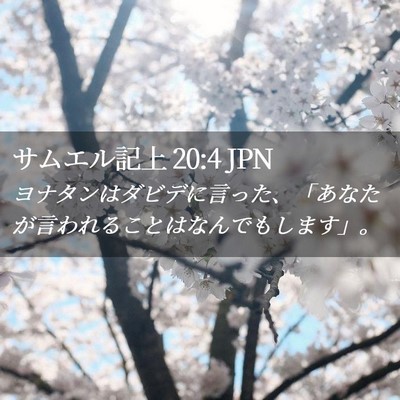 Picture 02 - サムエル記上 20:4 JPN - ヨナタンはダビデに言った、「あな - Bible Verse Picture