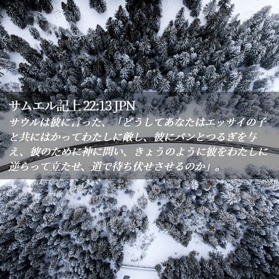 Picture 02 - サムエル記上 22:13 JPN - サウルは彼に言った、「どうしてあ - Bible Verse Picture