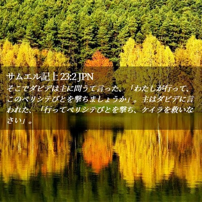 Picture 02 - サムエル記上 23:2 JPN - そこでダビデは主に問うて言った、 - Bible Verse Picture