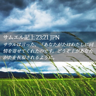 Picture 02 - サムエル記上 23:21 JPN - サウルは言った、「あなたがたはわ - Bible Verse Picture