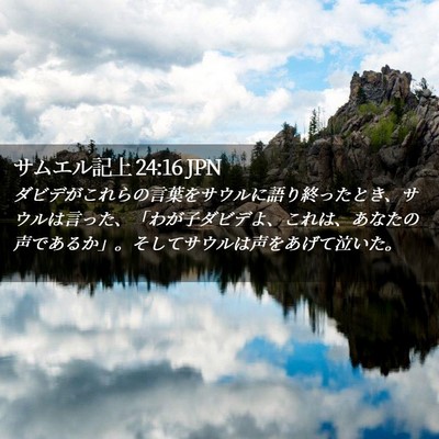 Picture 02 - サムエル記上 24:16 JPN - ダビデがこれらの言葉をサウルに語 - Bible Verse Picture