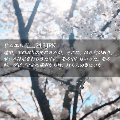 Picture 02 - サムエル記上 24:3 JPN - 途中、羊のおりの所にきたが、そこ - Bible Verse Picture