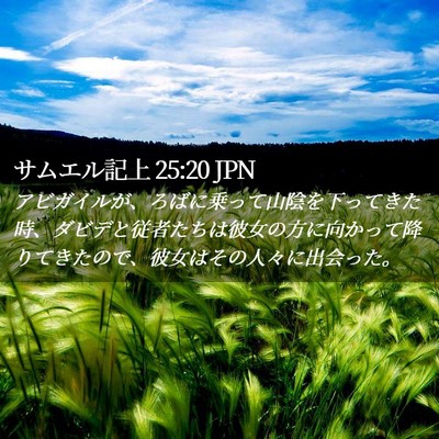 Picture 02 - サムエル記上 25:20 JPN - アビガイルが、ろばに乗って山陰を - Bible Verse Picture