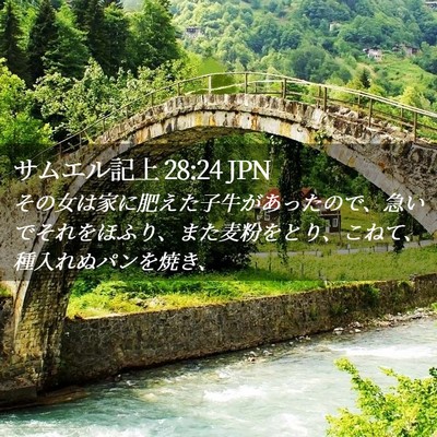 Picture 02 - サムエル記上 28:24 JPN - その女は家に肥えた子牛があったの - Bible Verse Picture