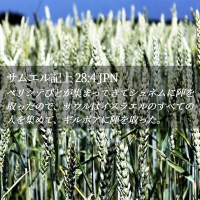 Picture 02 - サムエル記上 28:4 JPN - ペリシテびとが集まってきてシュネ - Bible Verse Picture