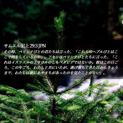 Picture 02 - サムエル記上 29:3 JPN - その時、ペリシテびとの君たちは言 - Bible Verse Picture