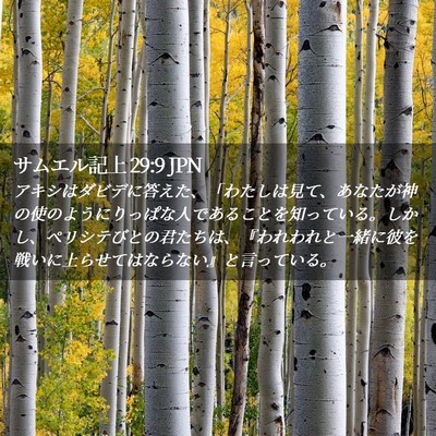 Picture 02 - サムエル記上 29:9 JPN - アキシはダビデに答えた、「わたし - Bible Verse Picture