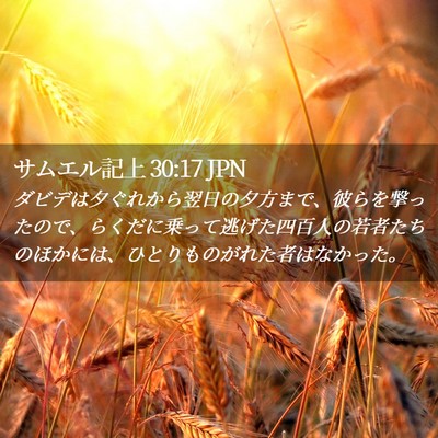 Picture 02 - サムエル記上 30:17 JPN - ダビデは夕ぐれから翌日の夕方まで - Bible Verse Picture