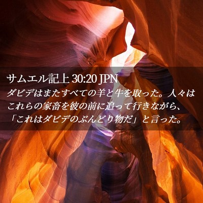 Picture 02 - サムエル記上 30:20 JPN - ダビデはまたすべての羊と牛を取っ - Bible Verse Picture