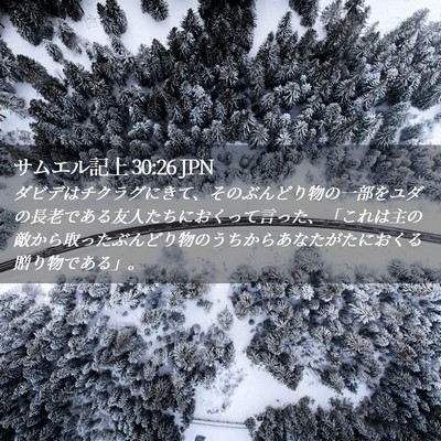 Picture 02 - サムエル記上 30:26 JPN - ダビデはチクラグにきて、そのぶん - Bible Verse Picture
