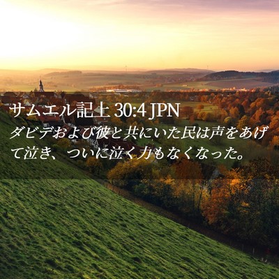 Picture 02 - サムエル記上 30:4 JPN - ダビデおよび彼と共にいた民は声を - Bible Verse Picture