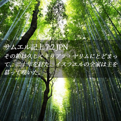 Picture 02 - サムエル記上 7:2 JPN - その箱は久しくキリアテ・ヤリムに - Bible Verse Picture