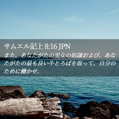 Picture 02 - サムエル記上 8:16 JPN - また、あなたがたの男女の奴隷およ - Bible Verse Picture