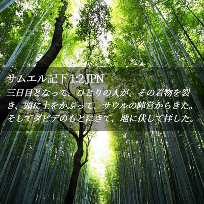 Picture 02 - サムエル記下 1:2 JPN - 三日目となって、ひとりの人が、そ - Bible Verse Picture