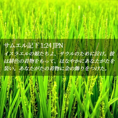 Picture 02 - サムエル記下 1:24 JPN - イスラエルの娘たちよ、サウルのた - Bible Verse Picture
