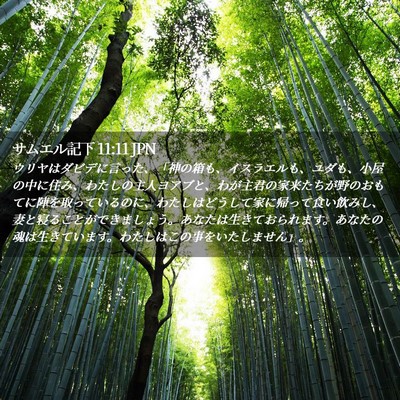 Picture 02 - サムエル記下 11:11 JPN - ウリヤはダビデに言った、「神の箱 - Bible Verse Picture