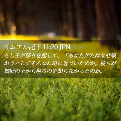 Picture 02 - サムエル記下 11:20 JPN - もし王が怒りを起して、『あなたが - Bible Verse Picture