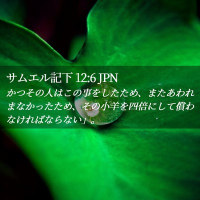 Picture 02 - サムエル記下 12:6 JPN - かつその人はこの事をしたため、ま - Bible Verse Picture