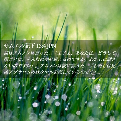 Picture 02 - サムエル記下 13:4 JPN - 彼はアムノンに言った、「王子よ、 - Bible Verse Picture