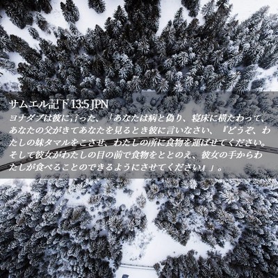 Picture 02 - サムエル記下 13:5 JPN - ヨナダブは彼に言った、「あなたは - Bible Verse Picture