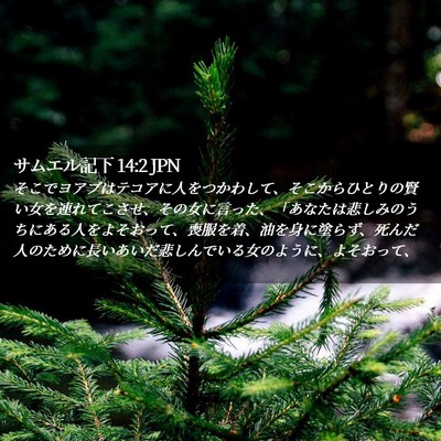 Picture 02 - サムエル記下 14:2 JPN - そこでヨアブはテコアに人をつかわ - Bible Verse Picture