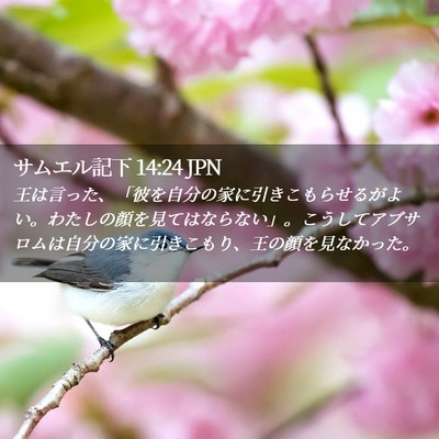Picture 02 - サムエル記下 14:24 JPN - 王は言った、「彼を自分の家に引き - Bible Verse Picture