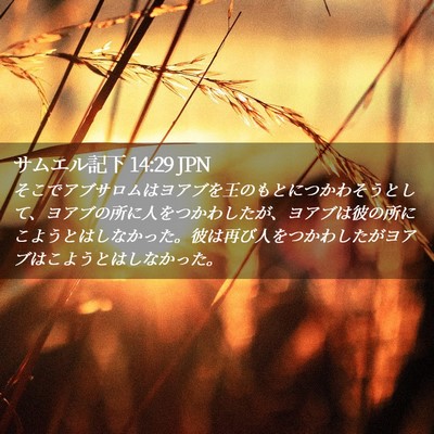 Picture 02 - サムエル記下 14:29 JPN - そこでアブサロムはヨアブを王のも - Bible Verse Picture
