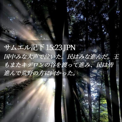 Picture 02 - サムエル記下 15:23 JPN - 国中みな大声で泣いた。民はみな進 - Bible Verse Picture