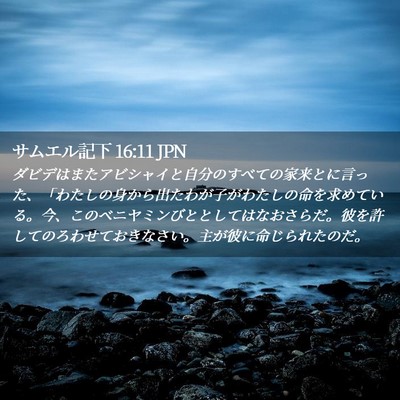 Picture 02 - サムエル記下 16:11 JPN - ダビデはまたアビシャイと自分のす - Bible Verse Picture